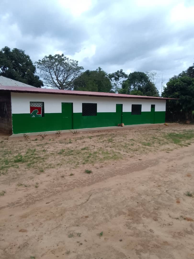 Volunteer Africa