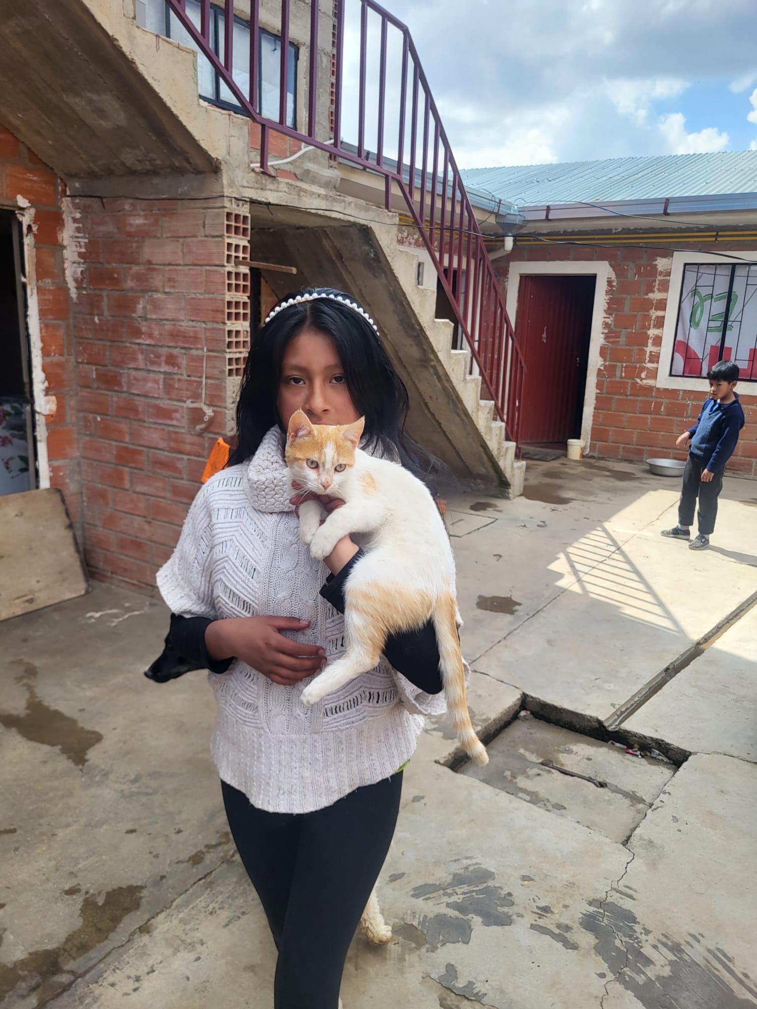 Proteccion Perros y Gatos